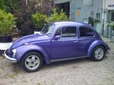 VW Kaefer 012